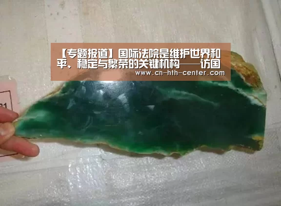 【专题报道】国际法院是维护世界和平、稳定与繁荣的关键机构——访国际法院院长优素福‘华体会官方网站入口’(图3) 华体会体育app下载