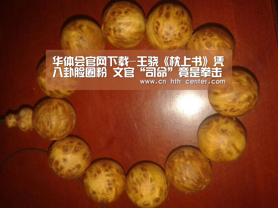 华体会官网下载-王骁《枕上书》凭八卦脸圈粉 文官“司命”竟是拳击爱好者(图4) 华体会官方平台